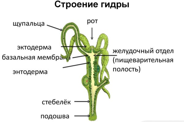 Kra40.cc