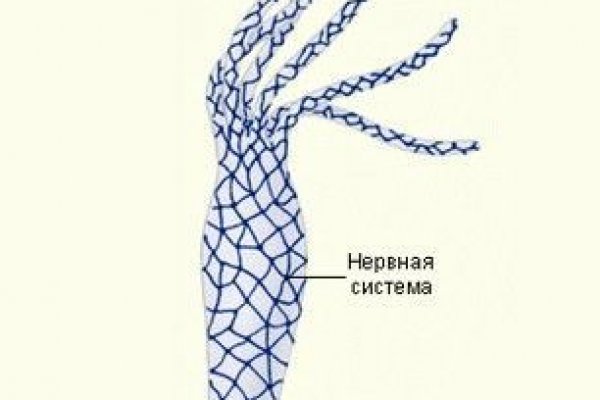 Кракен сайт тор ссылка