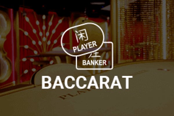 Darknet как войти