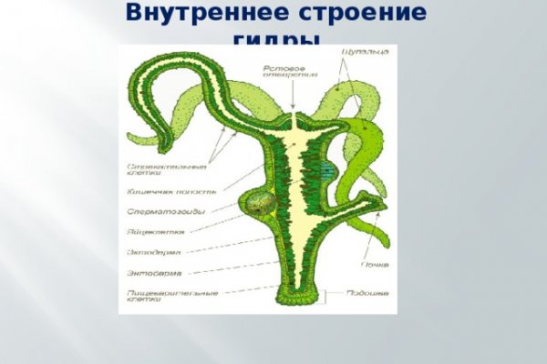 Kraken рабочая ссылка 2025