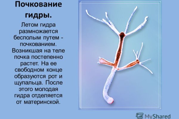 Кракен 2krnk