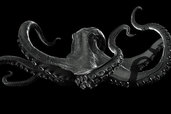 Kraken настоящая ссылка