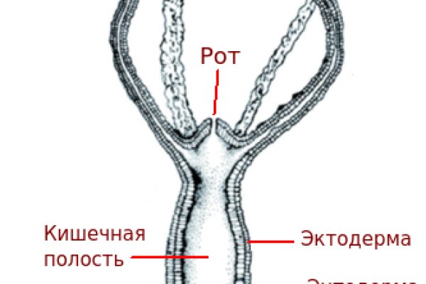 Kra29.at