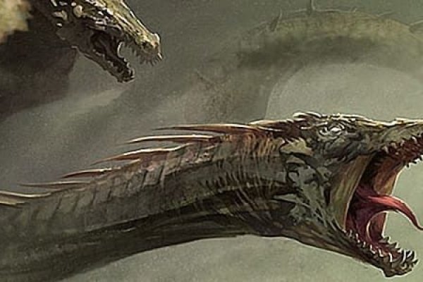 Kraken18 at